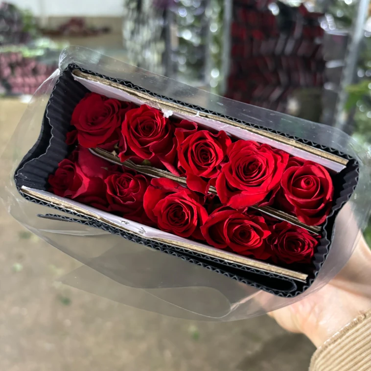 【珍爱】单头玫瑰家用水养鲜花