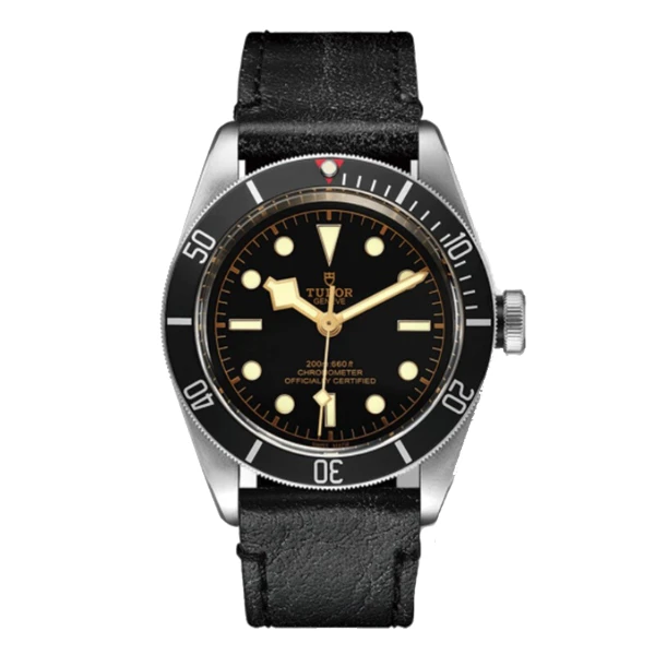 95新 TUDOR/帝舵 79230/2021全套/41mm/公价30100