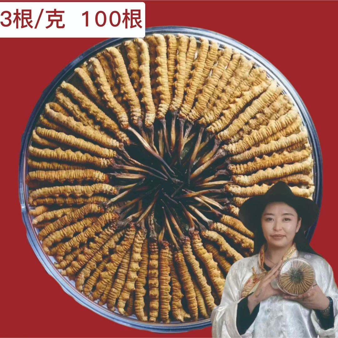【旦珍专属】3根/克 100根 冬虫夏草2024精选头茬产地直发滋补佳品