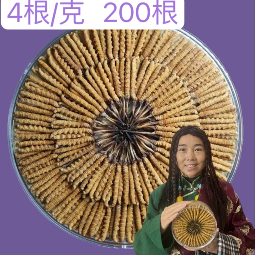 【达娃专属】4根/克 200根 冬虫夏草2024精选头茬产地直发滋补佳品