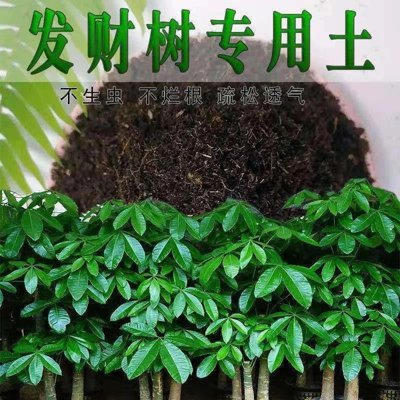 春畔发财树专用有机营养土壤家用通用型养花盆栽种植土绿植有机肥