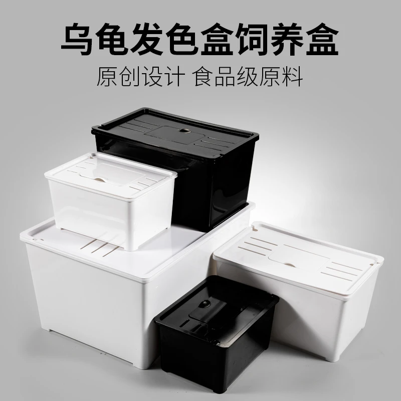 ·乌龟发色盒活体剃刀西非果核红面窄桥龟饲养盒龟苗发色隔离孵