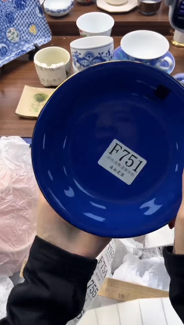 【闪购商品】瓷片          F751