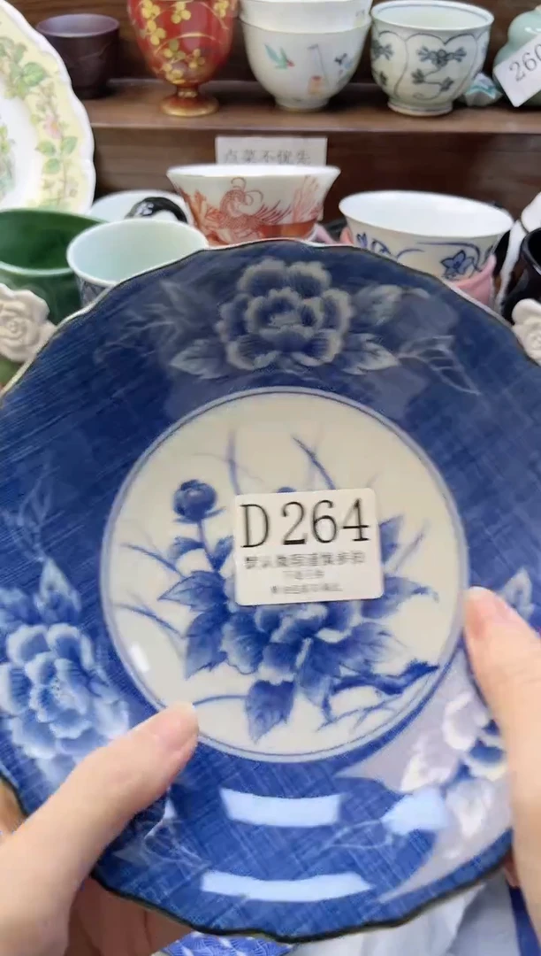 【闪购商品】瓷片         D264
