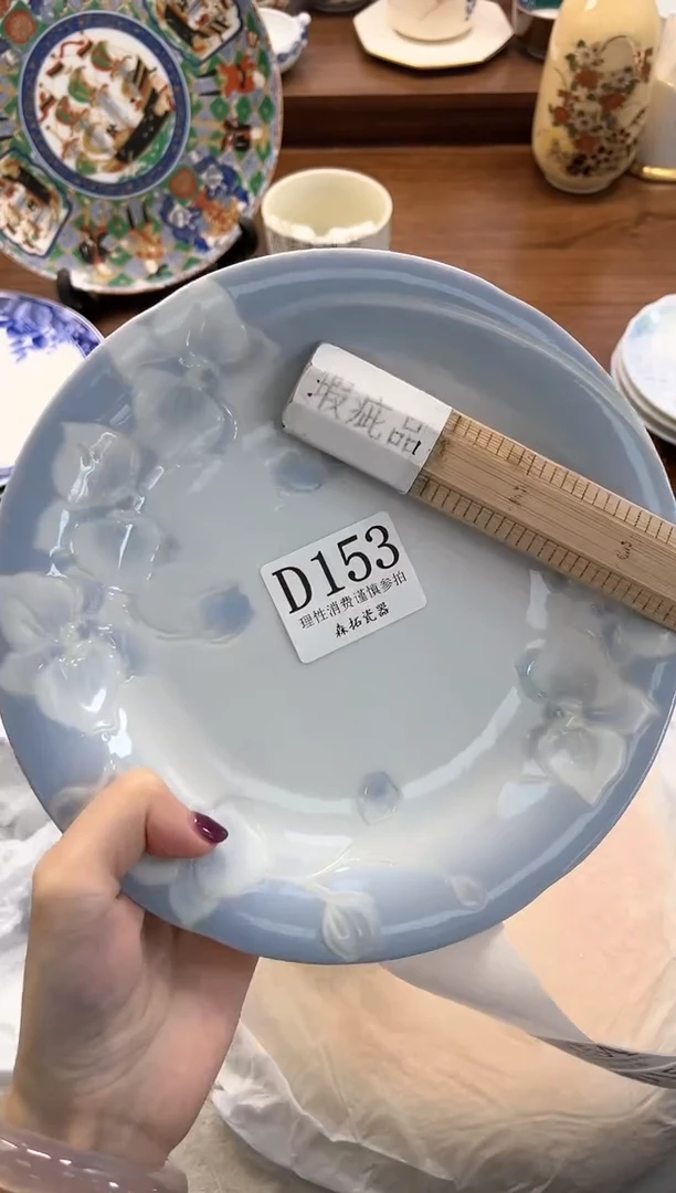 【闪购商品】瓷片          D153