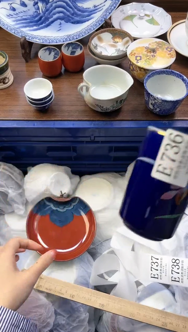 【闪购商品】瓷片         E736