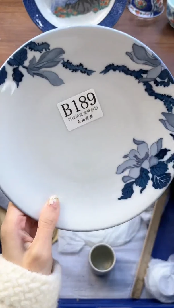 【闪购商品】瓷片          B189