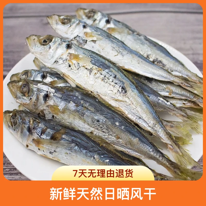 南澳特产 本港巴浪鱼干 渔民自抓自晒 肉质紧实有嚼劲可即食爆炒