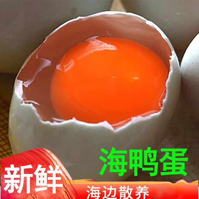红树林散养新鲜海鸭蛋生鸭蛋土鸭蛋广西北海北部湾正宗20枚起包邮