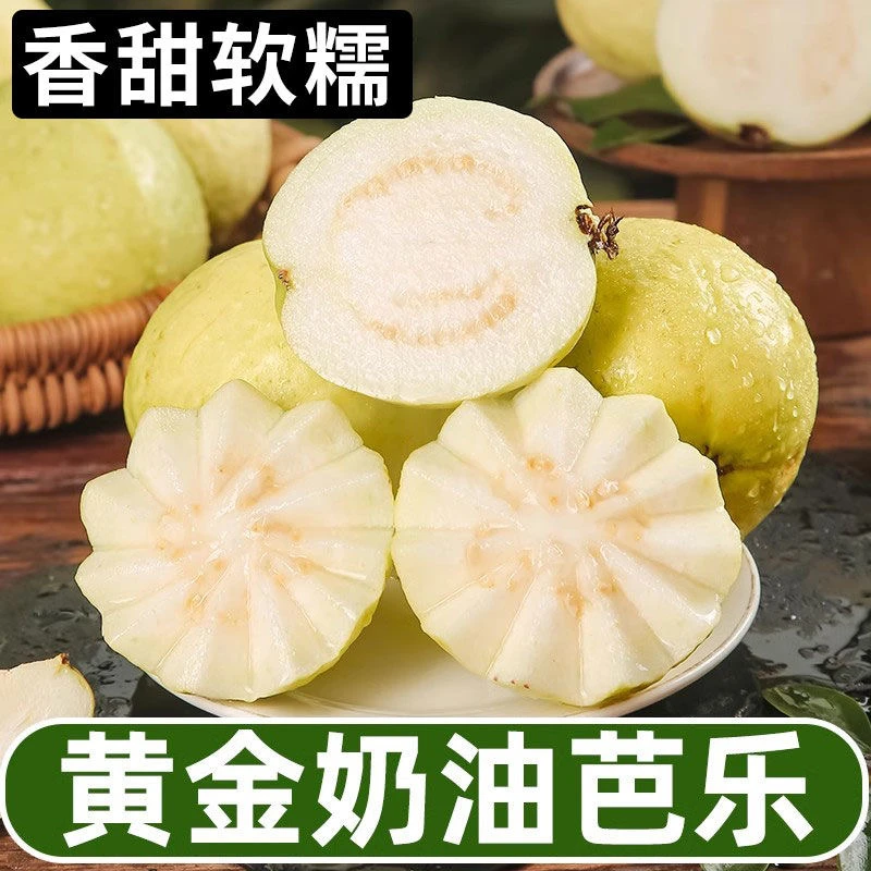 【顺丰-白心软芭乐】福建当季奶油白心软芭乐新鲜现摘清软番石榴3斤