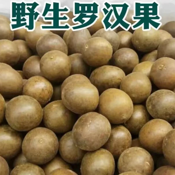 广西桂林罗汉果新鲜润喉广西罗汉果野生小罗汉果20个
