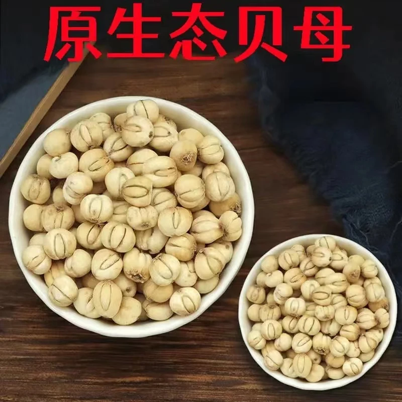 原色阿坝怀中抱月颗粒饱满浓郁自然搭配西洋参