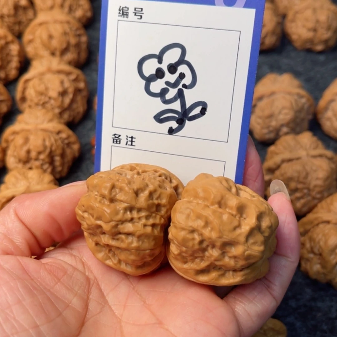 【闪购商品】菩提根/象牙果吊坠东*