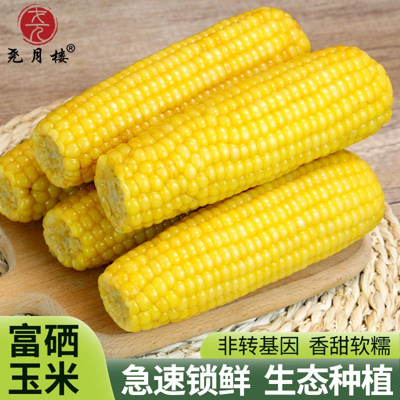 天然富硒玉米  洪洞尧月楼天然富硒玉米10根装