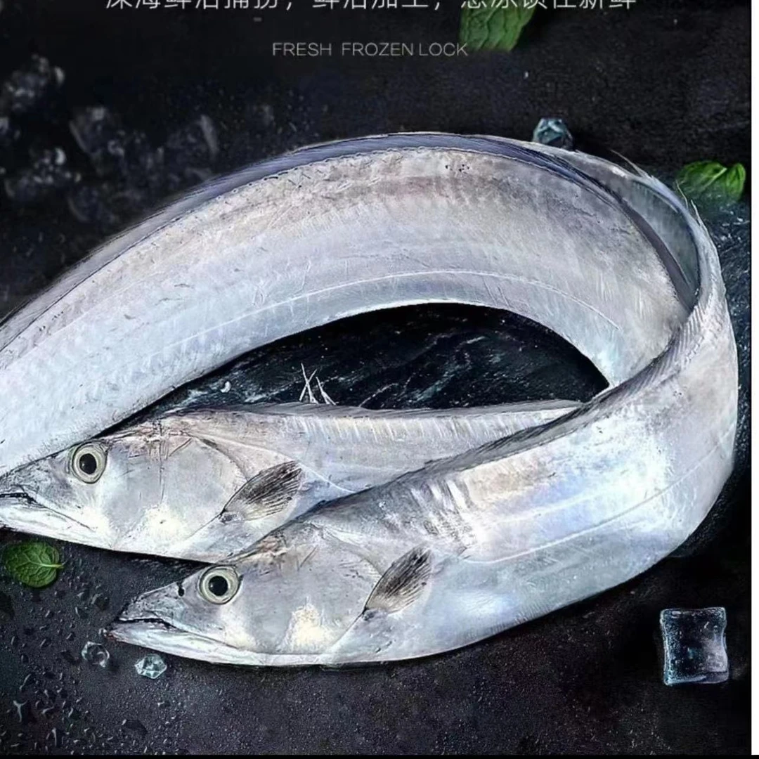 【12条】连云港发货 带鱼新鲜速冻发货【200g-300g/条】到手12条