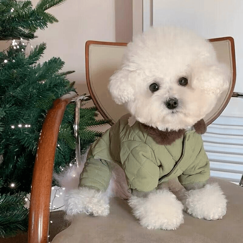 比心宠物四脚棉衣泰迪博美比熊贵宾小型幼犬约克夏狗狗衣服秋冬装
