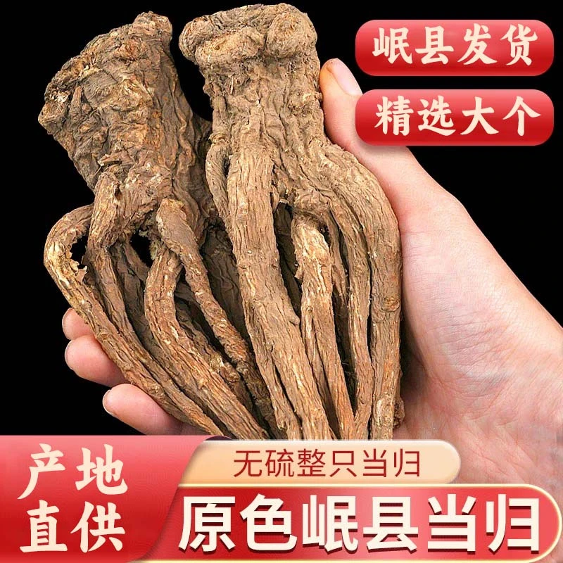 【岷县当归】正宗甘肃岷县无硫当归个子整个精品当归搭配黄芪党参