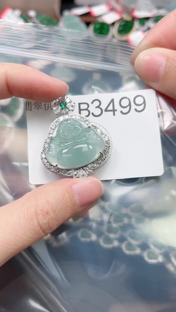 【闪购商品】翡翠颈饰未镶嵌赠皮绳3499
