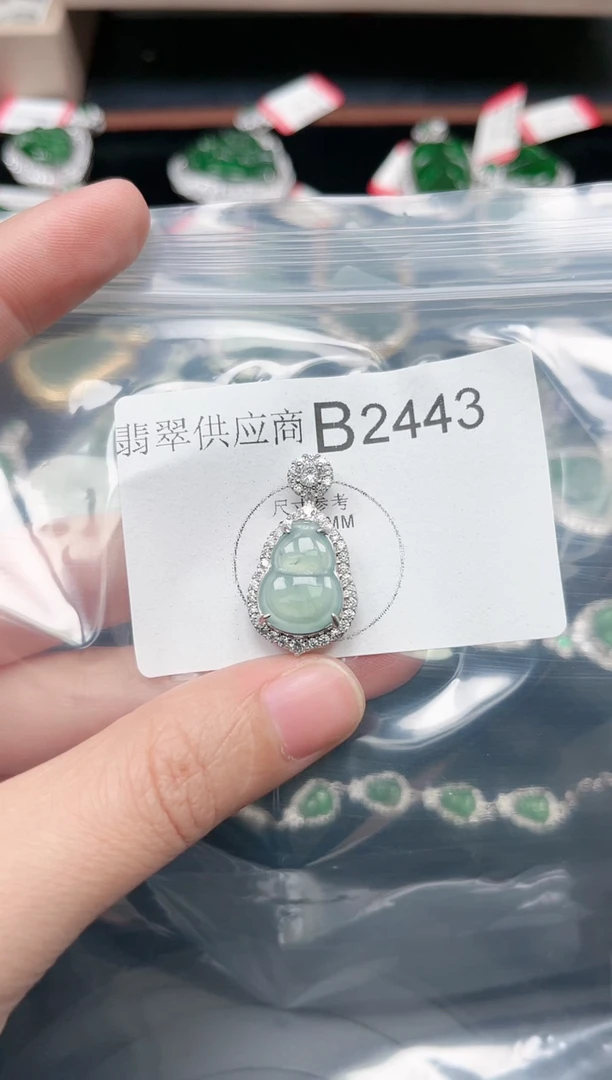 【闪购商品】翡翠颈饰未镶嵌赠皮绳2443