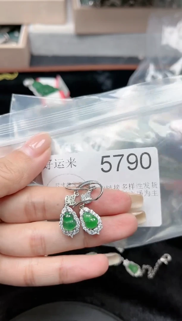 【闪购商品】翡翠颈饰未镶嵌赠皮绳5790