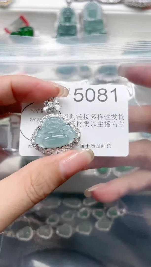 【闪购商品】翡翠颈饰未镶嵌赠皮绳5081