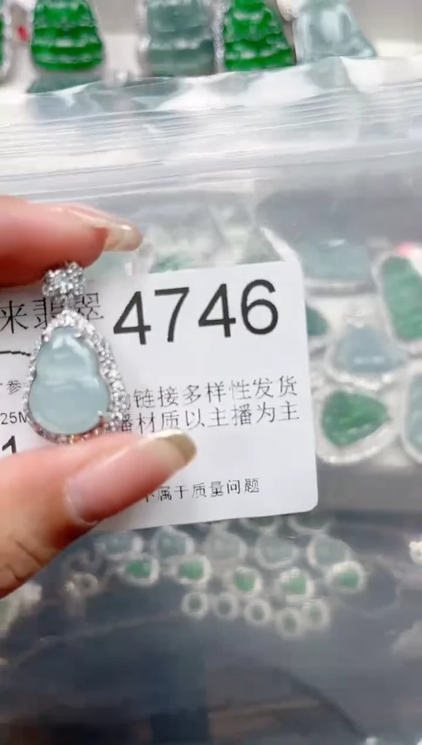 【闪购商品】翡翠颈饰未镶嵌赠皮绳4746