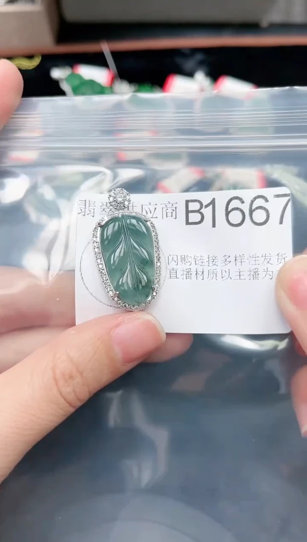【闪购商品】翡翠颈饰未镶嵌赠皮绳1667