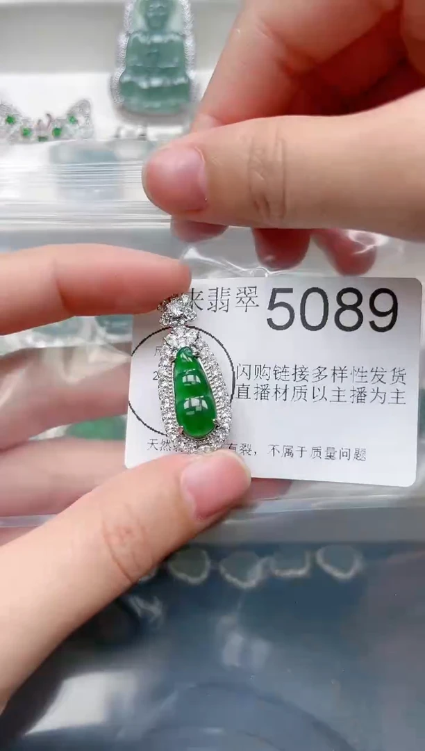 【闪购商品】翡翠颈饰未镶嵌5086(赠皮绳)