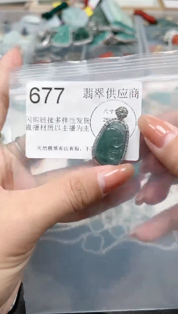 【闪购商品】翡翠颈饰未镶嵌677