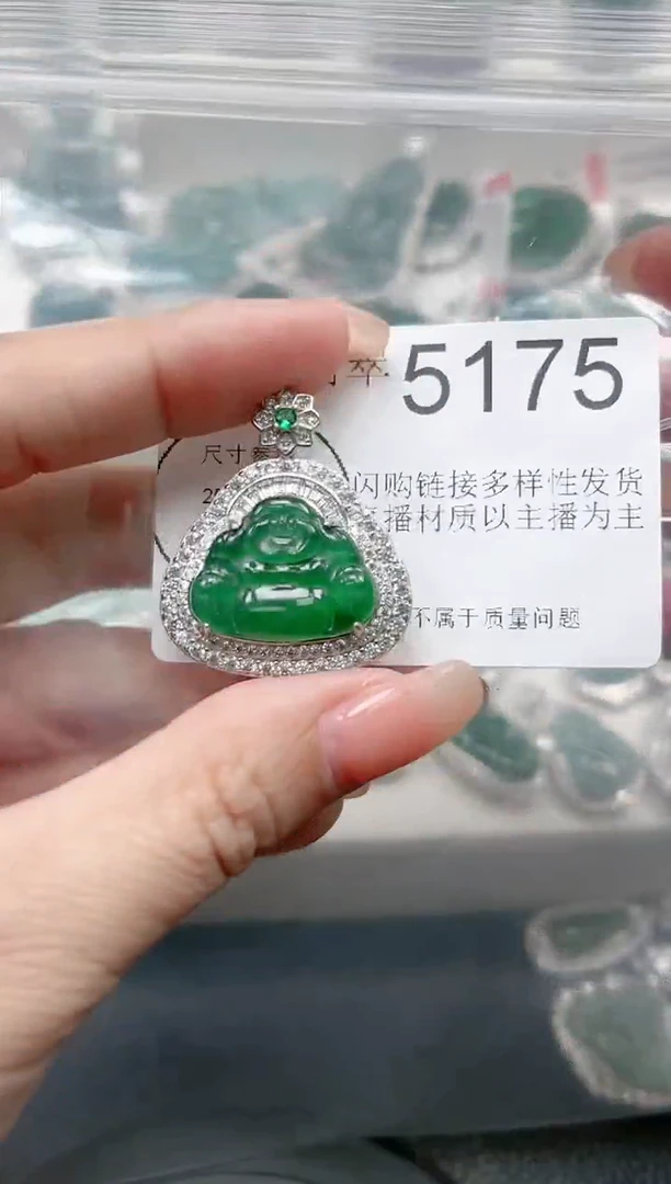 【闪购商品】翡翠颈饰未镶嵌(赠皮绳)5175