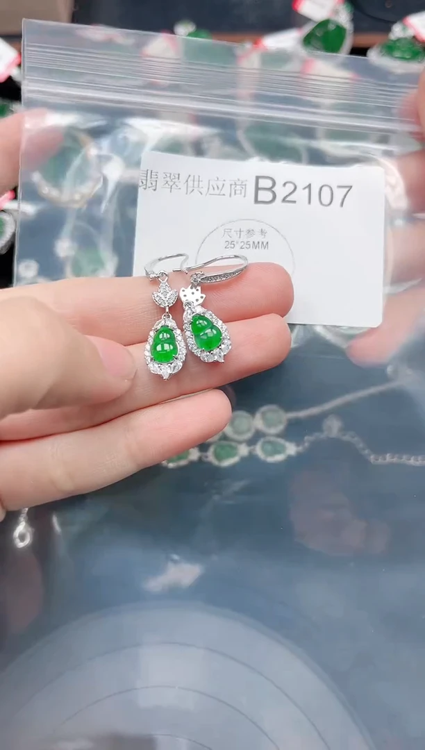 【闪购商品】翡翠颈饰未镶嵌赠皮绳2107