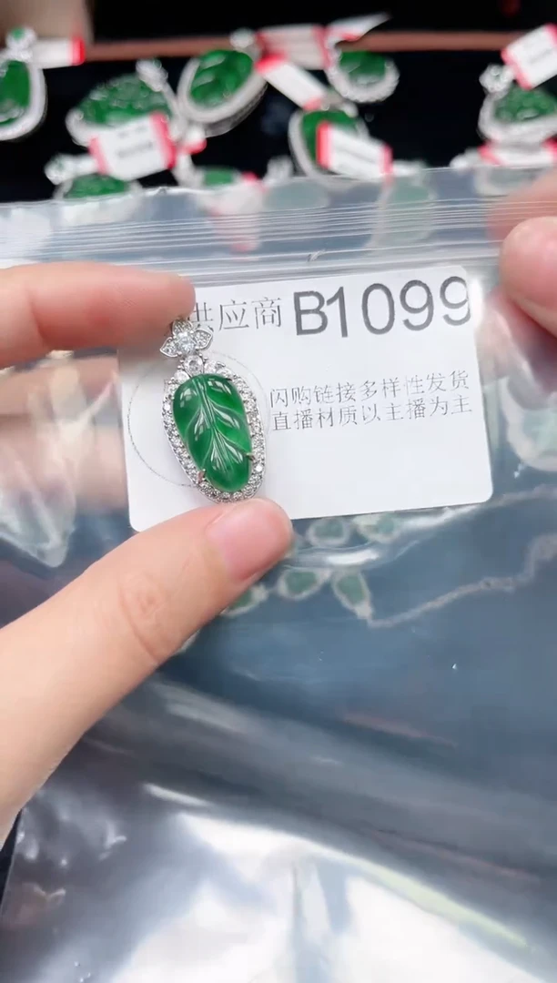 【闪购商品】翡翠颈饰未镶嵌赠皮绳1099