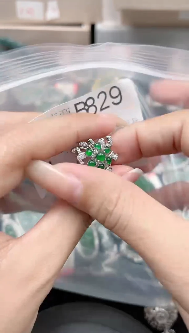 【闪购商品】翡翠颈饰未镶嵌赠皮绳829
