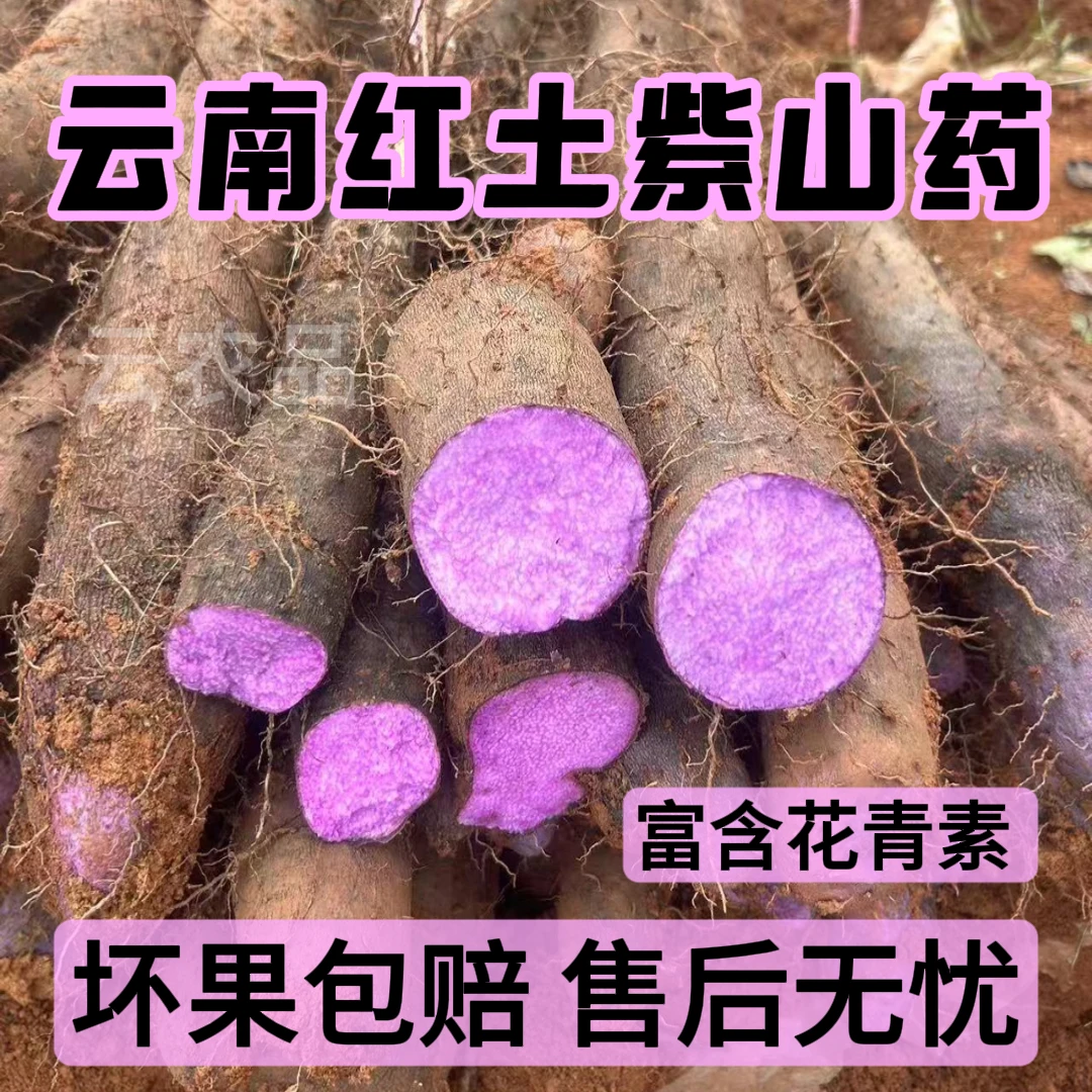 【精选】云南紫山药 富含花青素  农家特产 新鲜包邮 坏果包赔 包邮