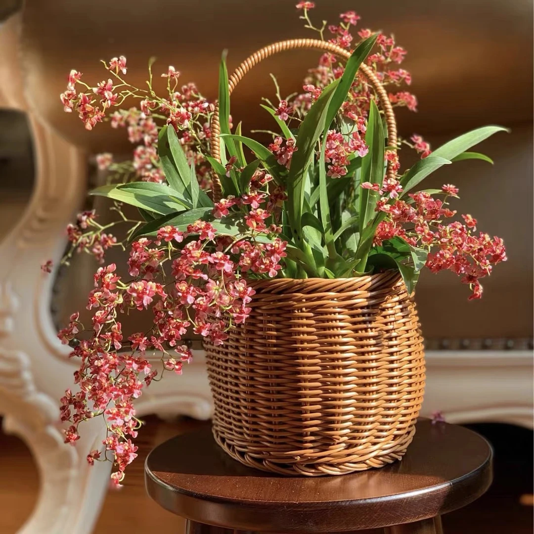 【带5杆花】桌面款香水文心兰梦香红花带花苞（没开放）高端绿植花卉