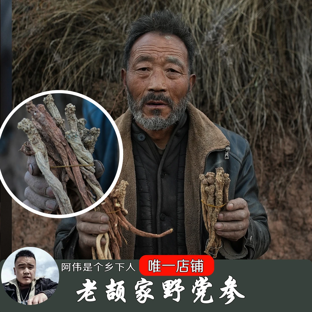阿辉【野党参段】甘肃特产