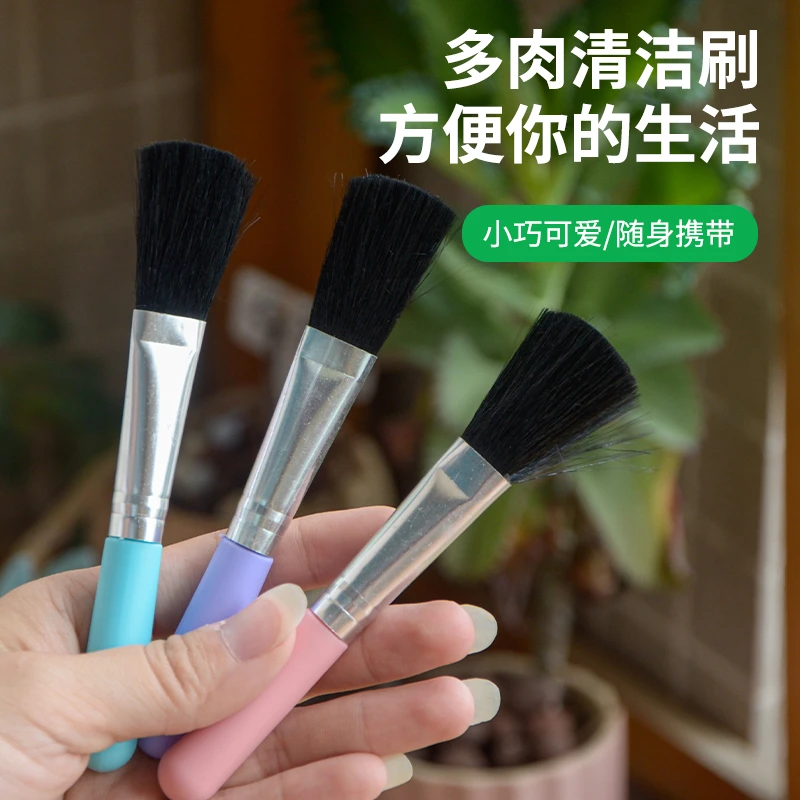 多肉绿萝植物苔藓软毛绿叶面除尘清洁刷子园艺盆栽清理除灰粉