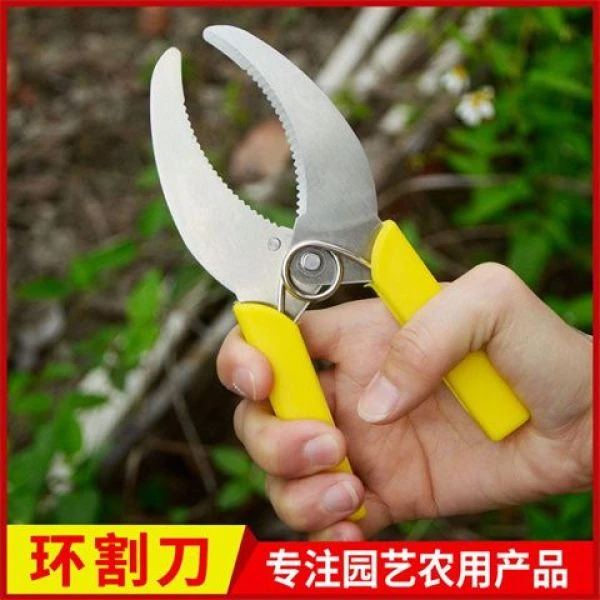园林环切刀小环剥剪果树环割剪刀环割刀环割剪环剥剪割树皮剪刀