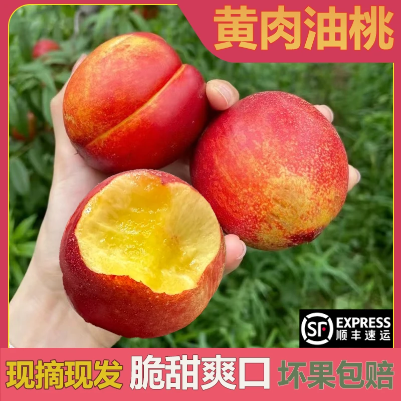 随州黄肉油桃新鲜应季露天水果脆甜多汁净重5斤顺丰包邮原产地