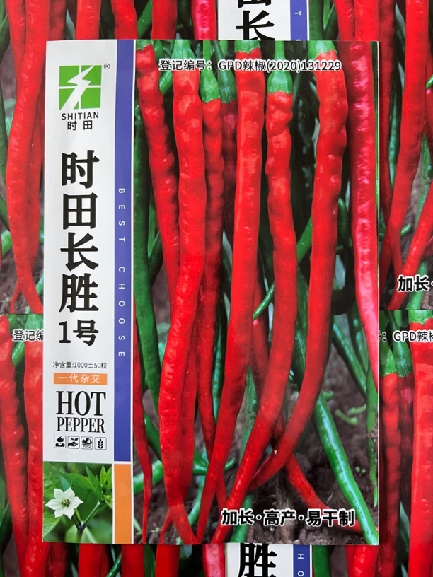 时田长胜1号线椒辣椒种子1000粒左右