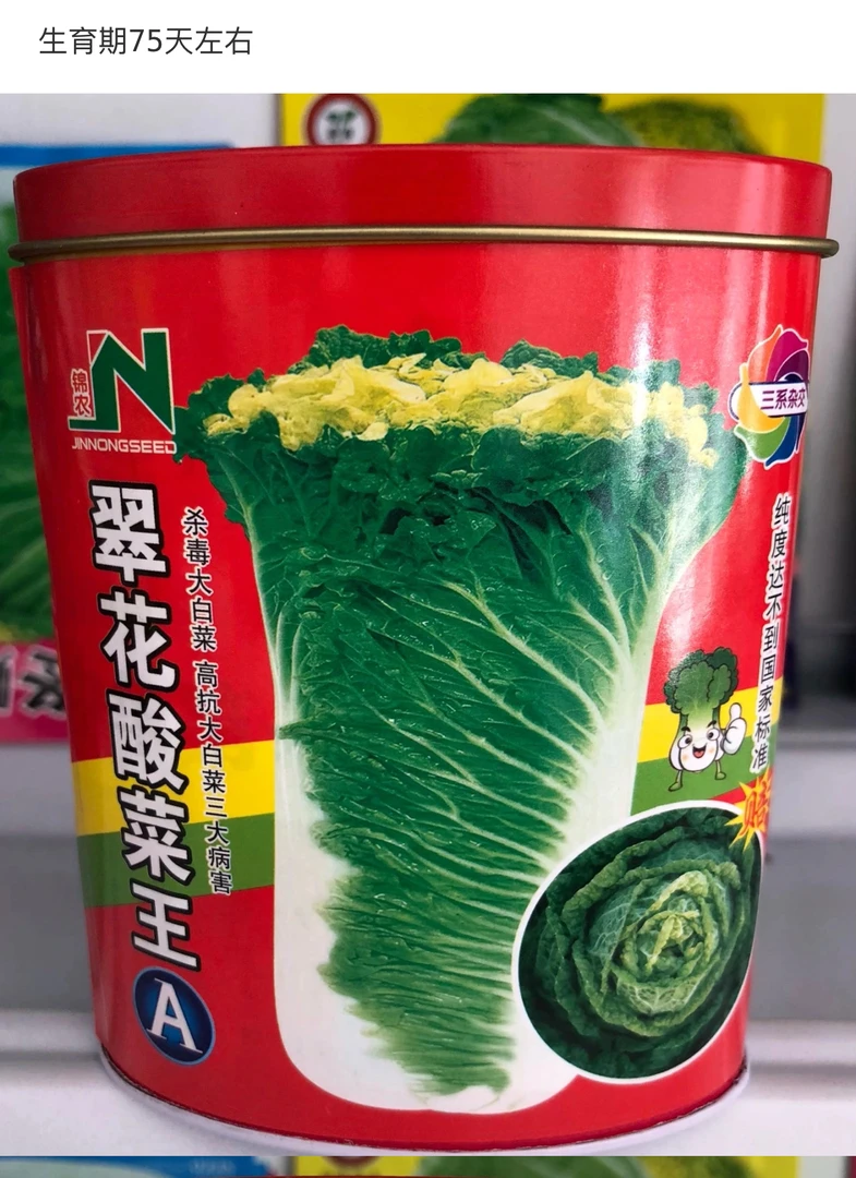 翠花酸菜A直筒白菜种子 铁盒装50克