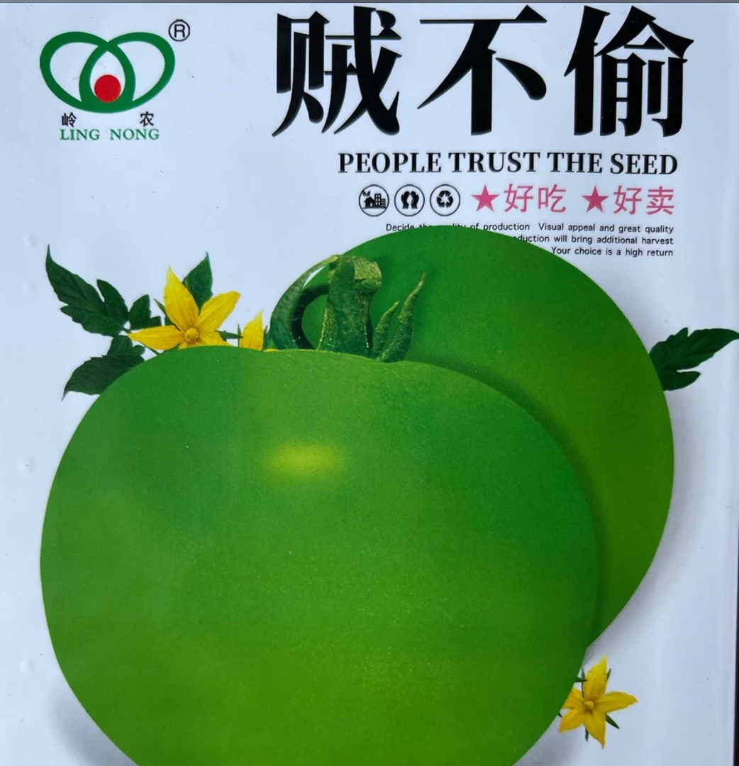 贼不偷 柿子籽 200粒左右 酸甜可口