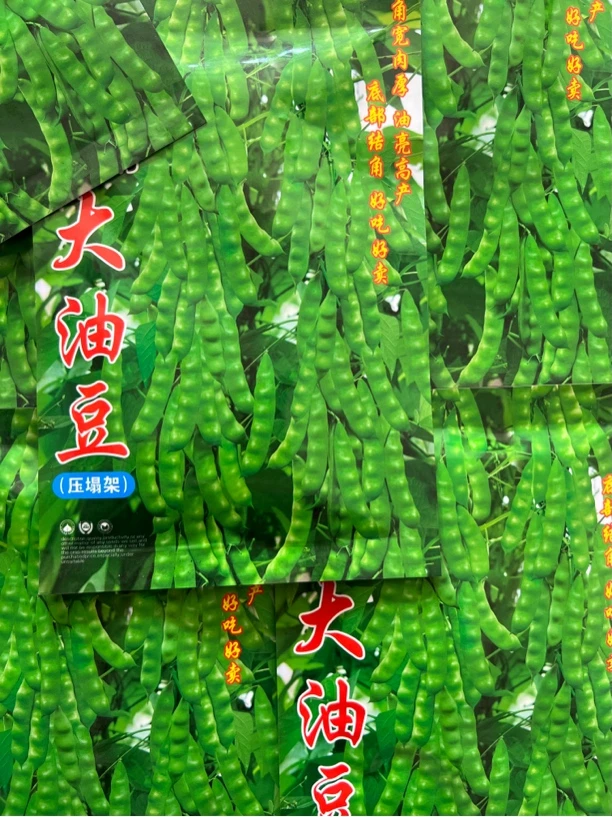 大油豆 搭架豆角种子50克