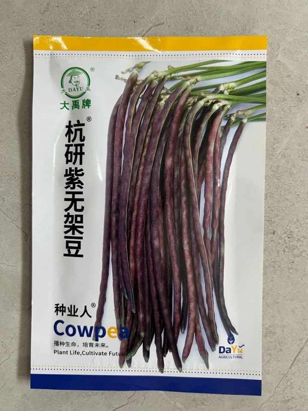 杭研 紫无架豆 豆角籽 20克