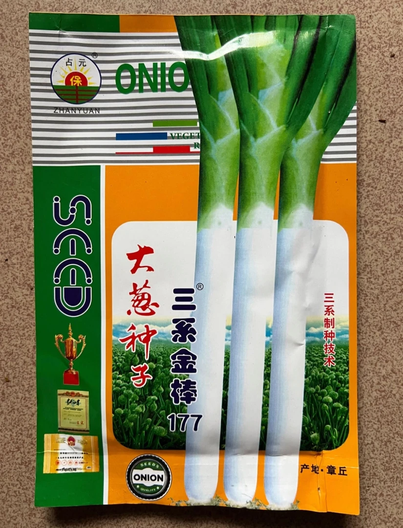 三系金棒177 大葱种子 一两
