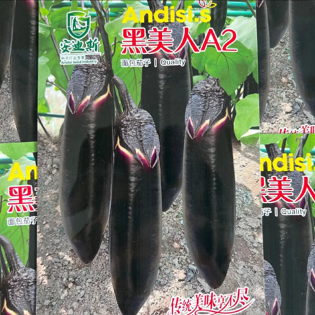 黑美人A2 面包茄子籽 500粒左右 暄软 细腻 果皮黑色