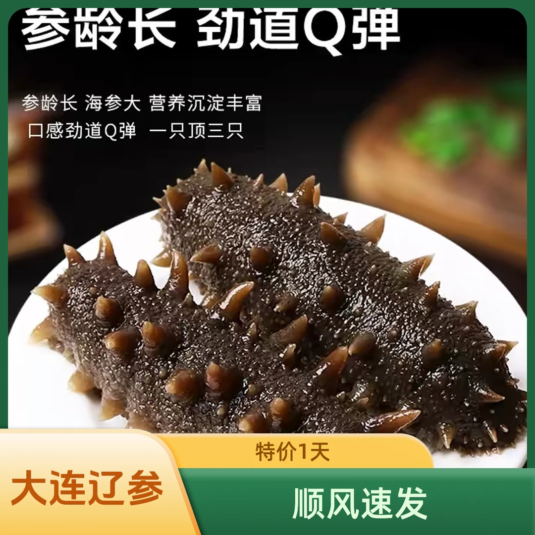 【特价1天】大连辽刺参即食海参500g冷水化冻食用老人儿童营养