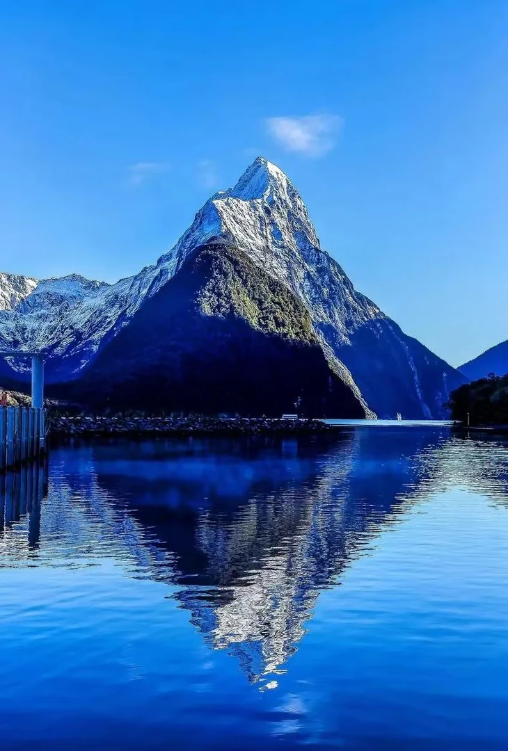 仓播  短袖 36917