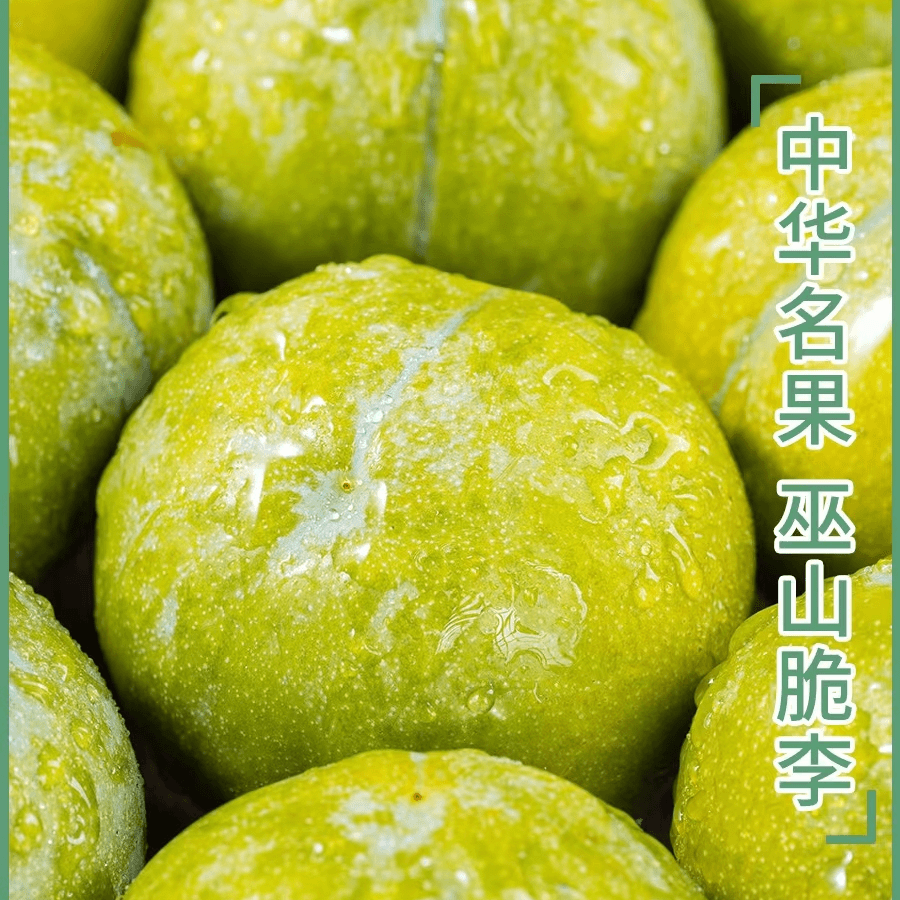 巫山脆李产地直发 5/10斤 清脆爽口