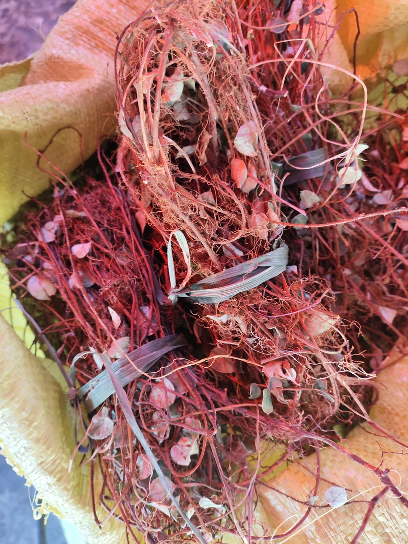 培荣集市现收金线....萝卜干